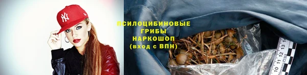 соль ск Магас