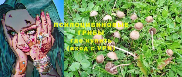 a pvp Магадан
