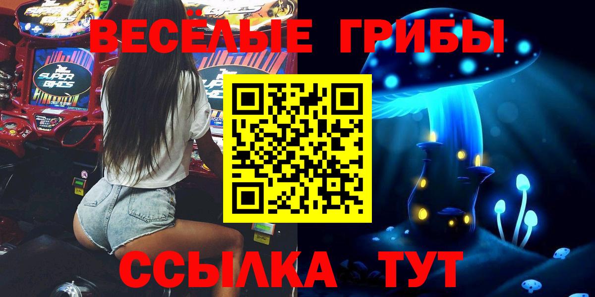 Галлюциногенные грибы Psilocybe  Вход с VPN  Ступино 